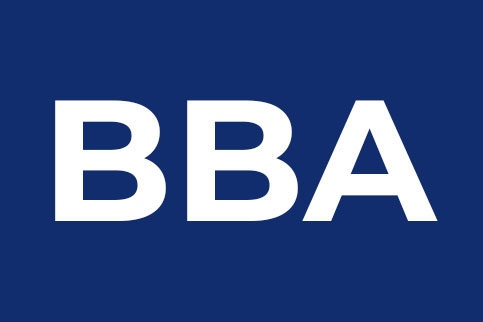 bba course